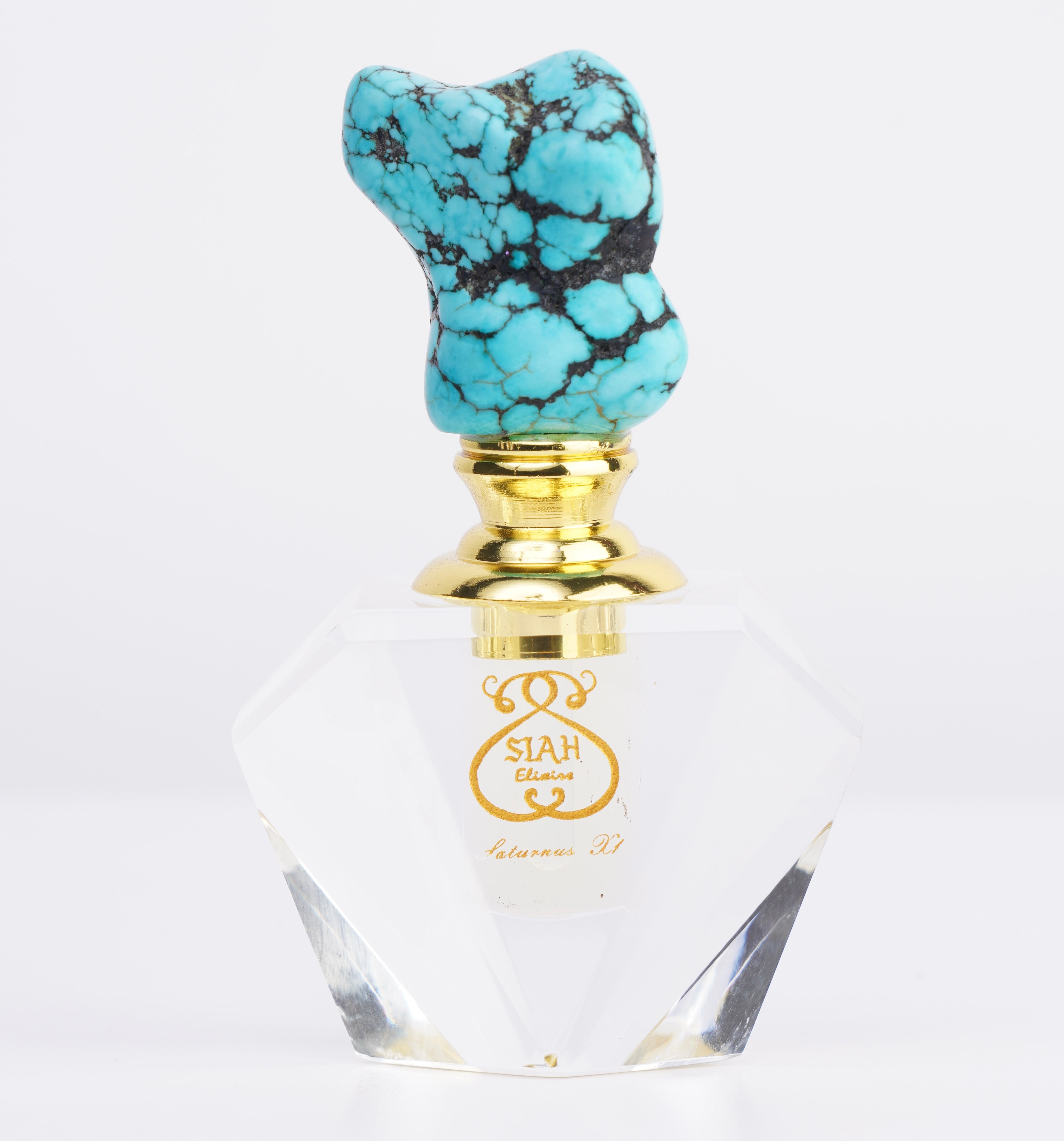 saturnus x1 elixir